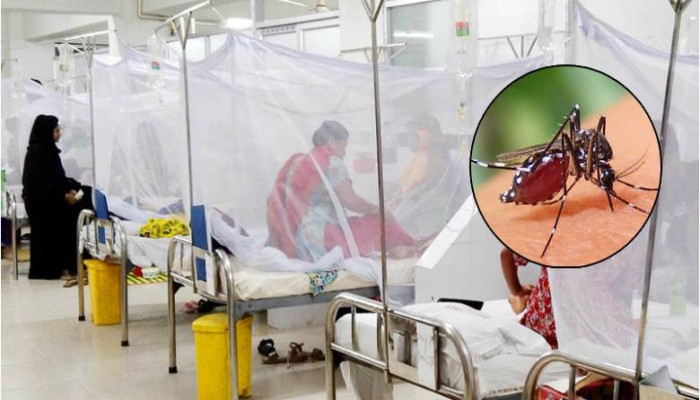 দেশে ডেঙ্গুতে আক্রান্ত  সংখ্যা এক লাখ ছাড়লো , গত ২৪ ঘন্টায় নতুন করে আরও ৪ জনের মৃ*ত্যু