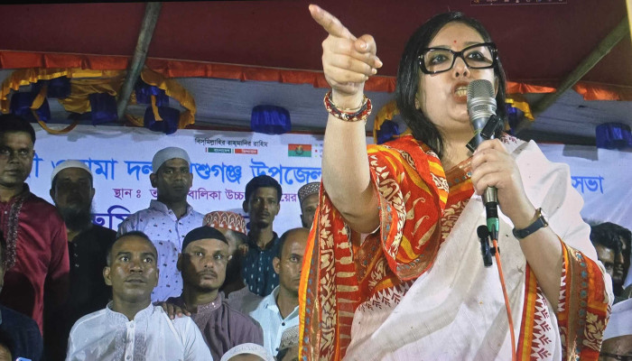 ‘গরু-মহিষকে ঘাস খাওয়াতেও চাঁদা দিতে হয়’: রুমিন ফারহানা